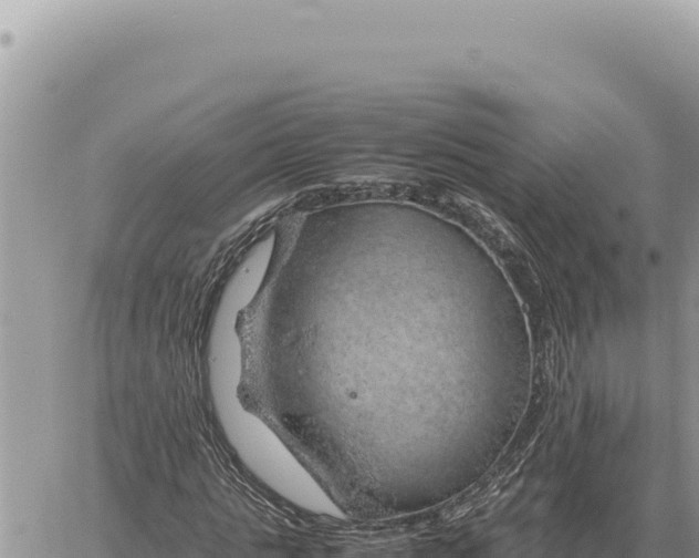 X0000061110821200512091815