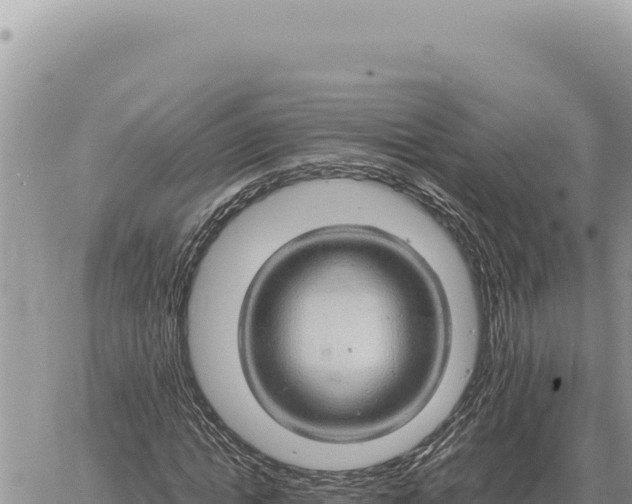 X0000061110822200512091815