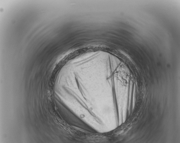 X0000061110823200512091815