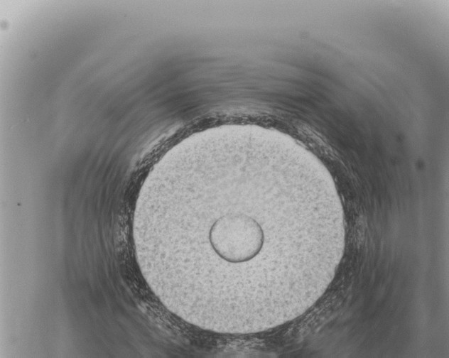 X0000061110824200512091815