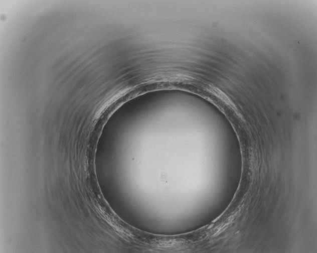 X0000061110826200512091815