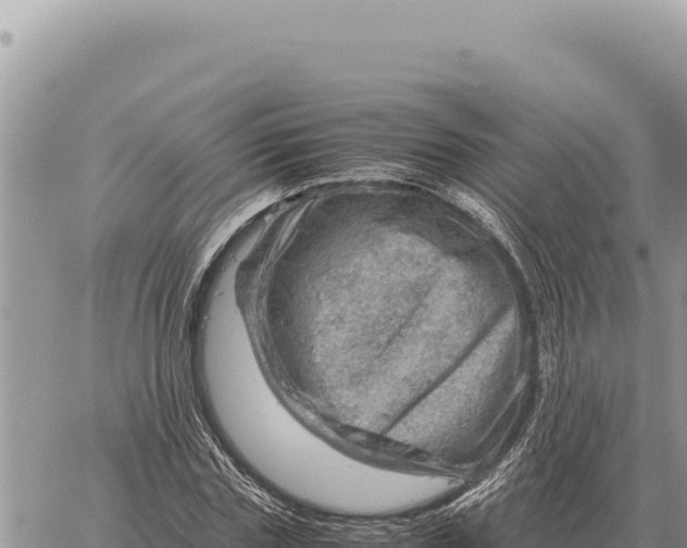 X0000061110827200512091815