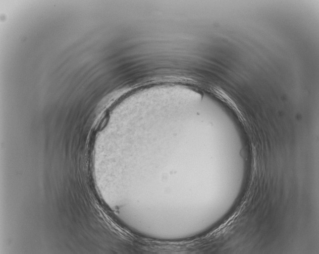 X0000061110828200512091815