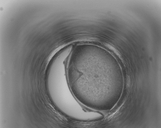 X0000061110829200512091815