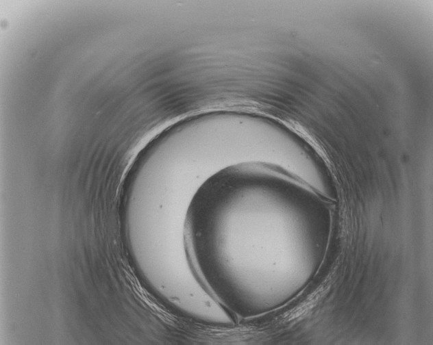 X0000061110830200512091815