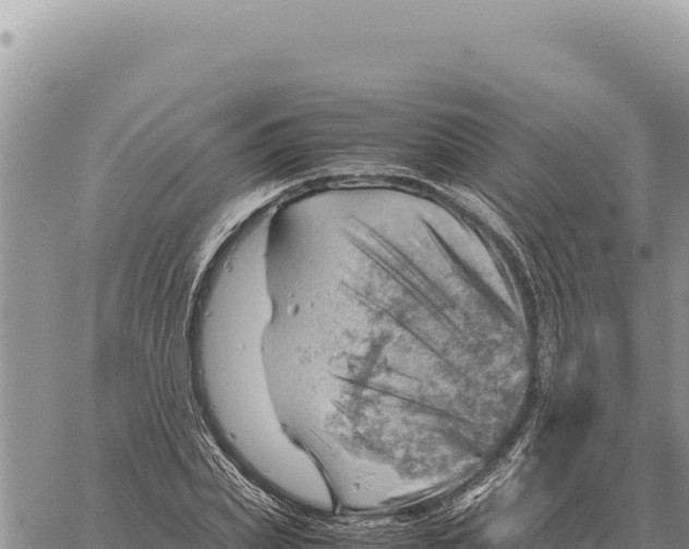 X0000061110831200512091815