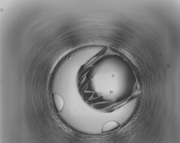 X0000061110832200512091815