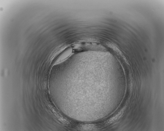 X0000061110833200512091815