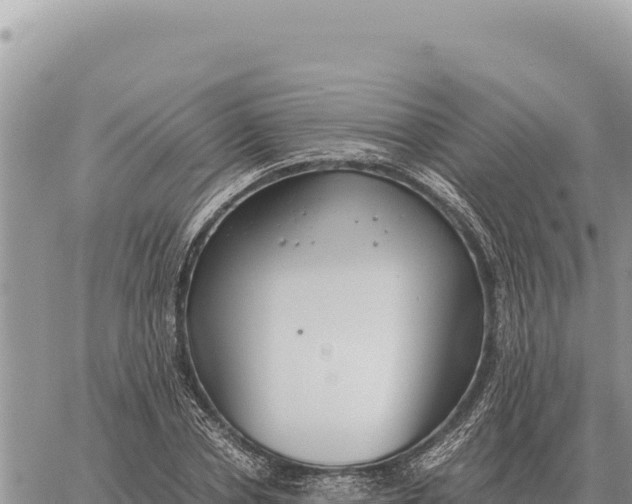 X0000061110834200512091815