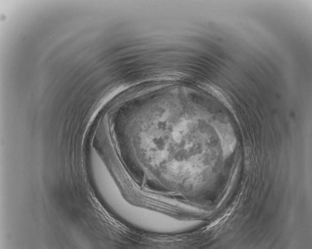 X0000061110835200512091815