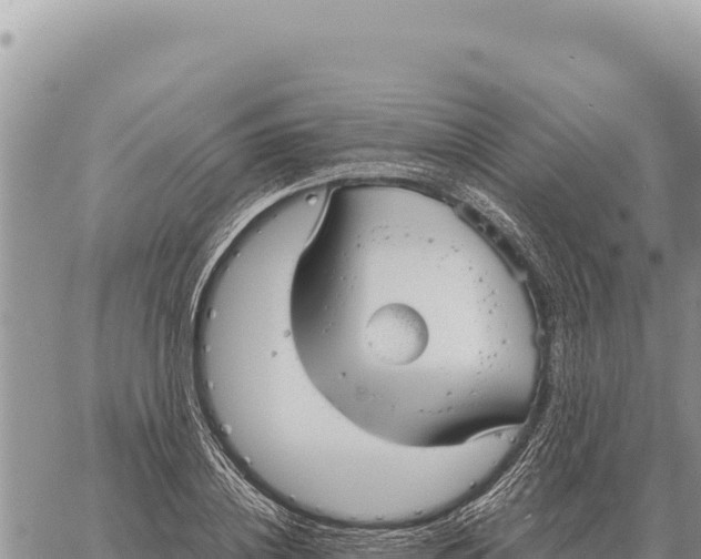 X0000061110836200512091815