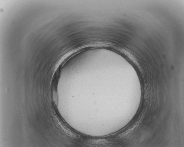 X0000061110837200512091815