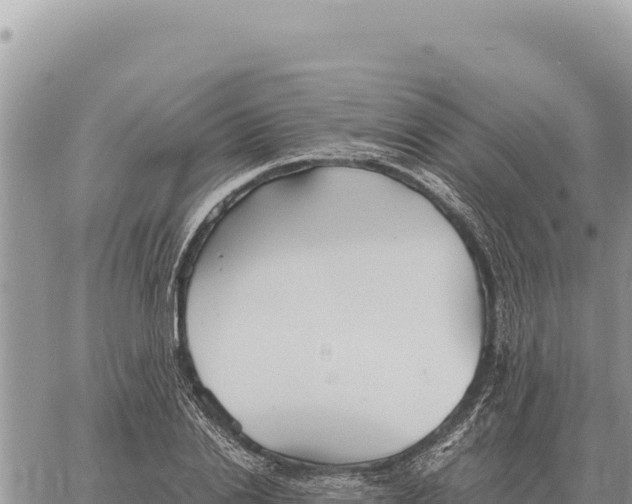 X0000061110838200512091815