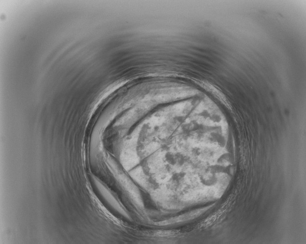 X0000061110839200512091815