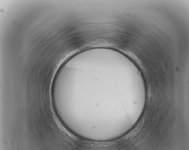 X0000061110840200512091815