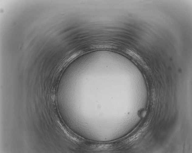 X0000061110841200512091815