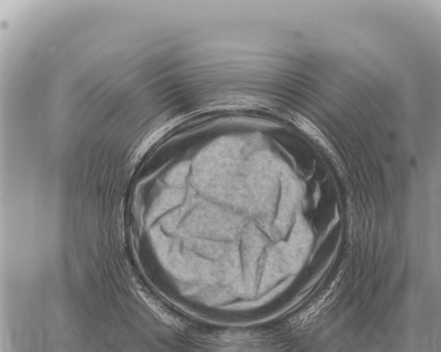 X0000061110842200512091815