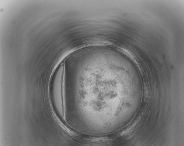 X0000061110843200512091815