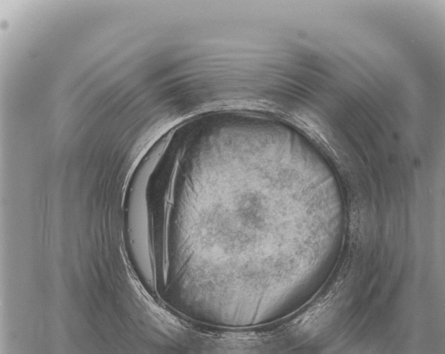 X0000061110844200512091815