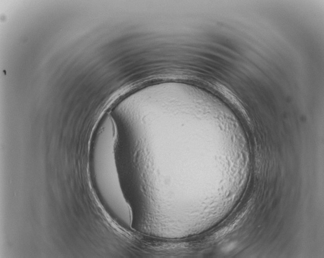 X0000061110845200512091815