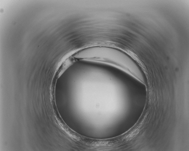 X0000061110846200512091815