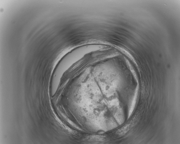 X0000061110847200512091815