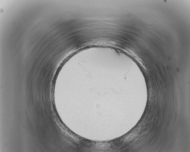 X0000061110848200512091815