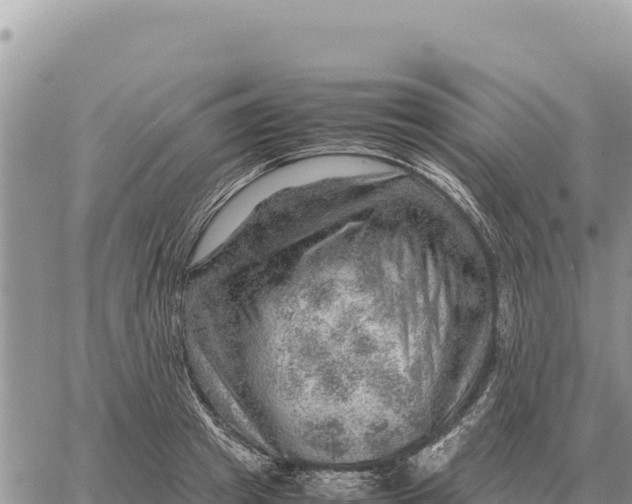 X0000061110849200512091815