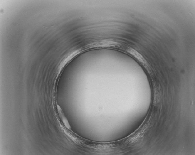 X0000061110850200512091815