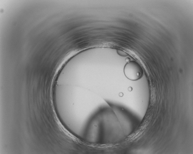 X0000061110851200512091815