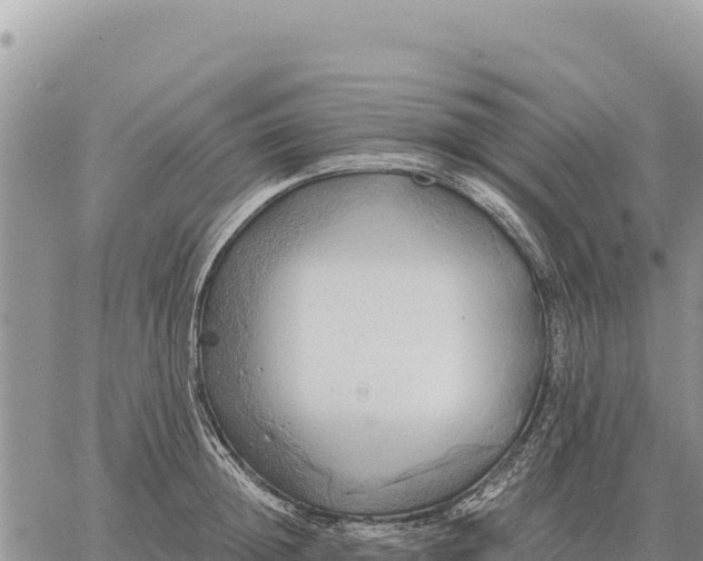 X0000061110852200512091815