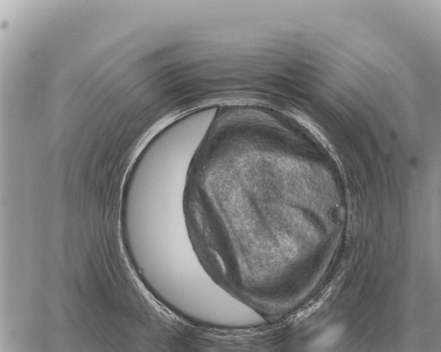 X0000061110853200512091815