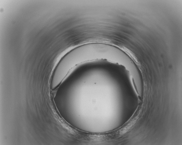 X0000061110854200512091815