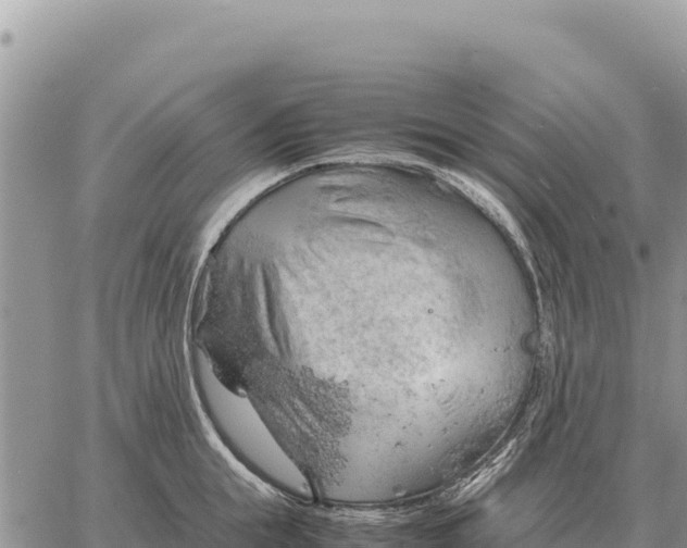 X0000061110855200512091815