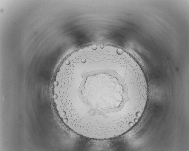 X0000061110856200512091815