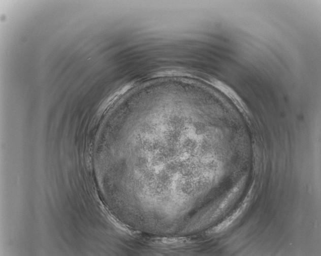 X0000061110857200512091815