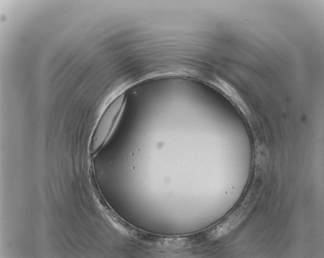 X0000061110858200512091815