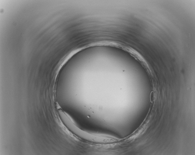 X0000061110860200512091815