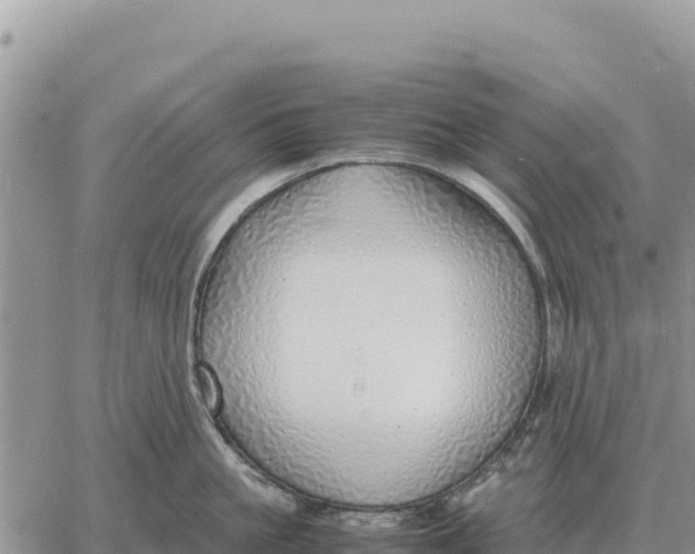 X0000061110861200512091815