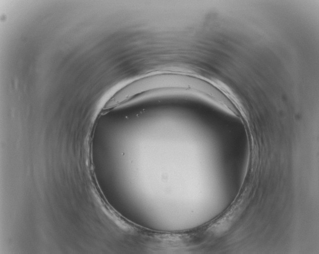 X0000061110862200512091815