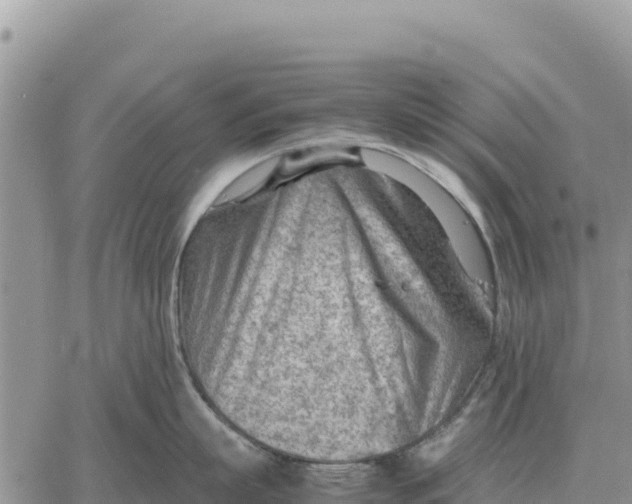 X0000061110863200512091815