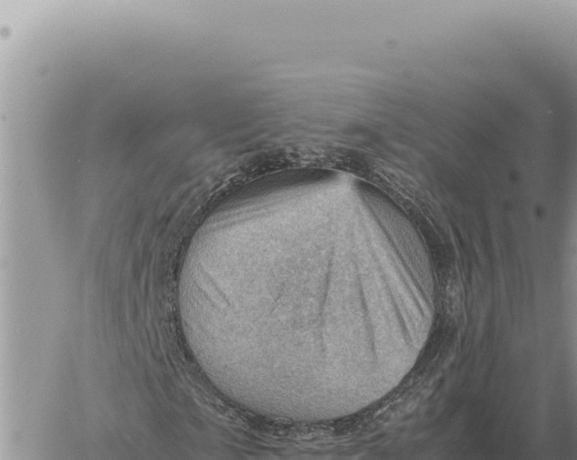 X0000061110865200512091815