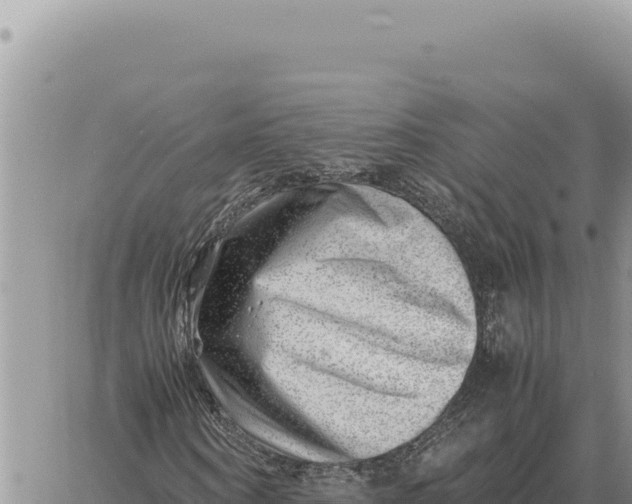 X0000061110866200512091815