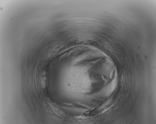 X0000061110868200512091814