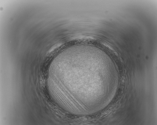 X0000061110869200512091814