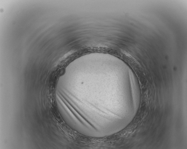 X0000061110870200512091814