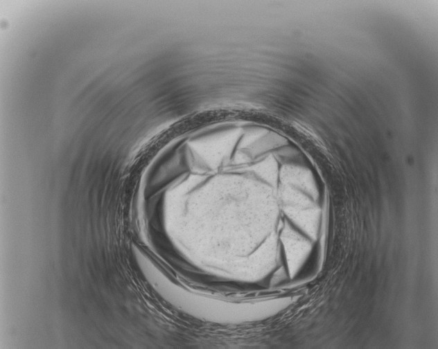 X0000061110872200512091814