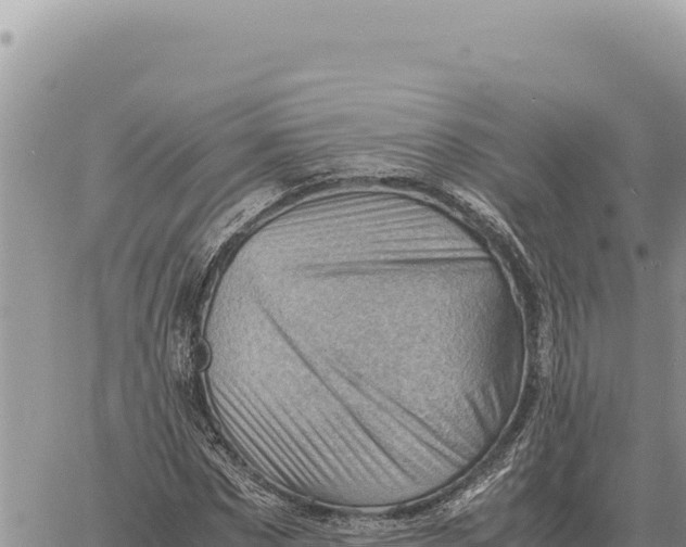 X0000061110873200512091814