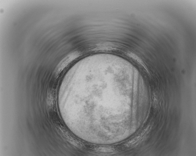 X0000061110874200512091814