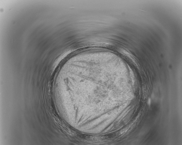 X0000061110875200512091814